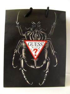 guess beetle