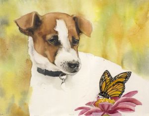 6) jack russell s
